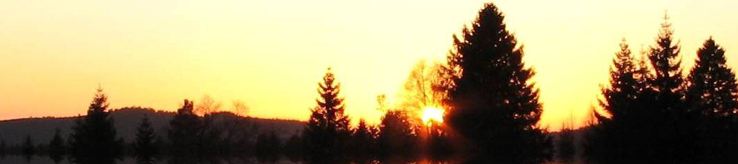 Schwarzwald